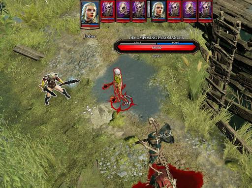 Divinity: Original Sin 2 - «Divinity: Original Sin 2»: БАГИ И "СТРАННОСТИ"